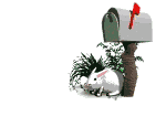 animated rabbit e-mail